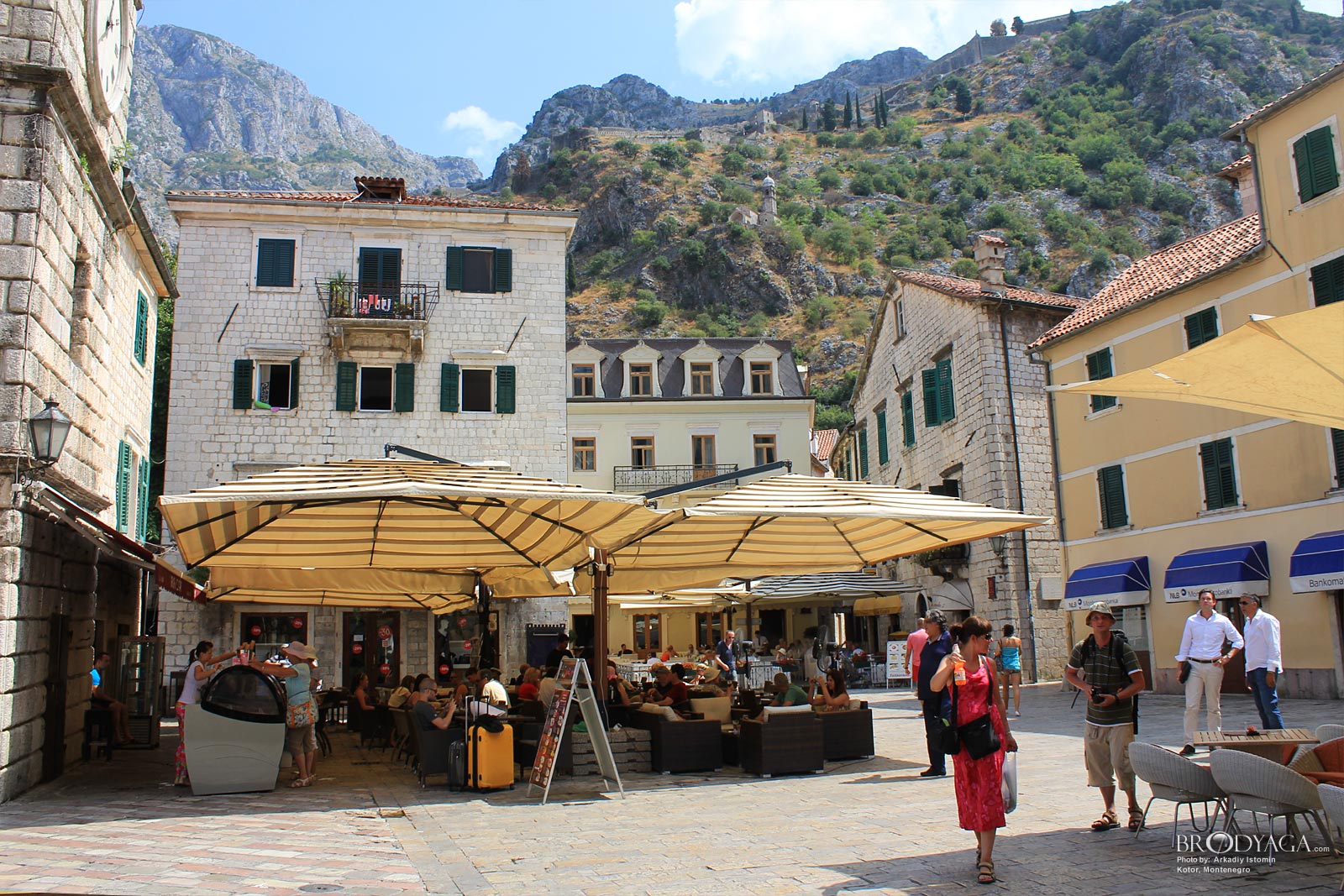 Kotor